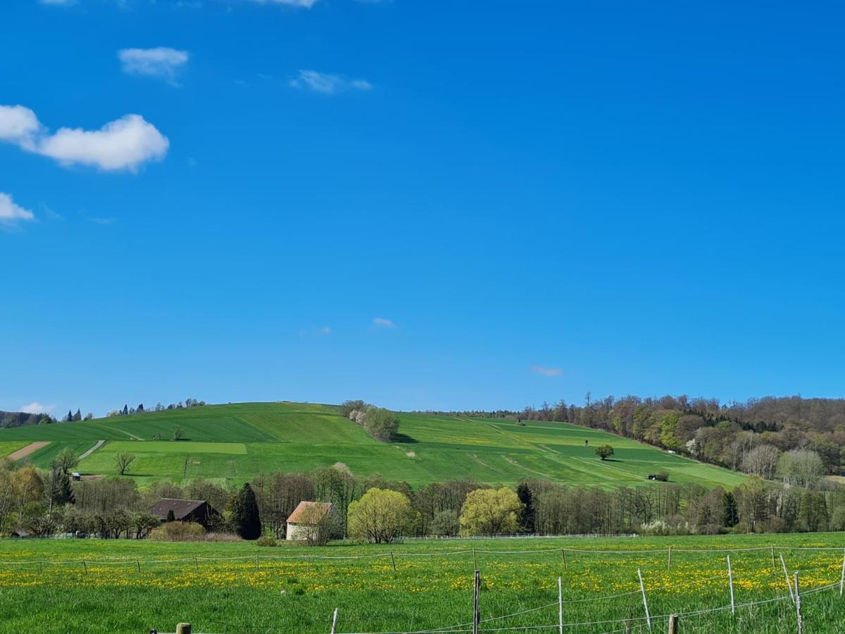 Schoene Mit Balkon Und Terrasse In Ruhiger Lage Helsa